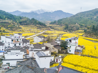 婺源的静默时光,当疫情按下风景的暂停键 婺源的静默时光,当疫情按下风景的暂停键