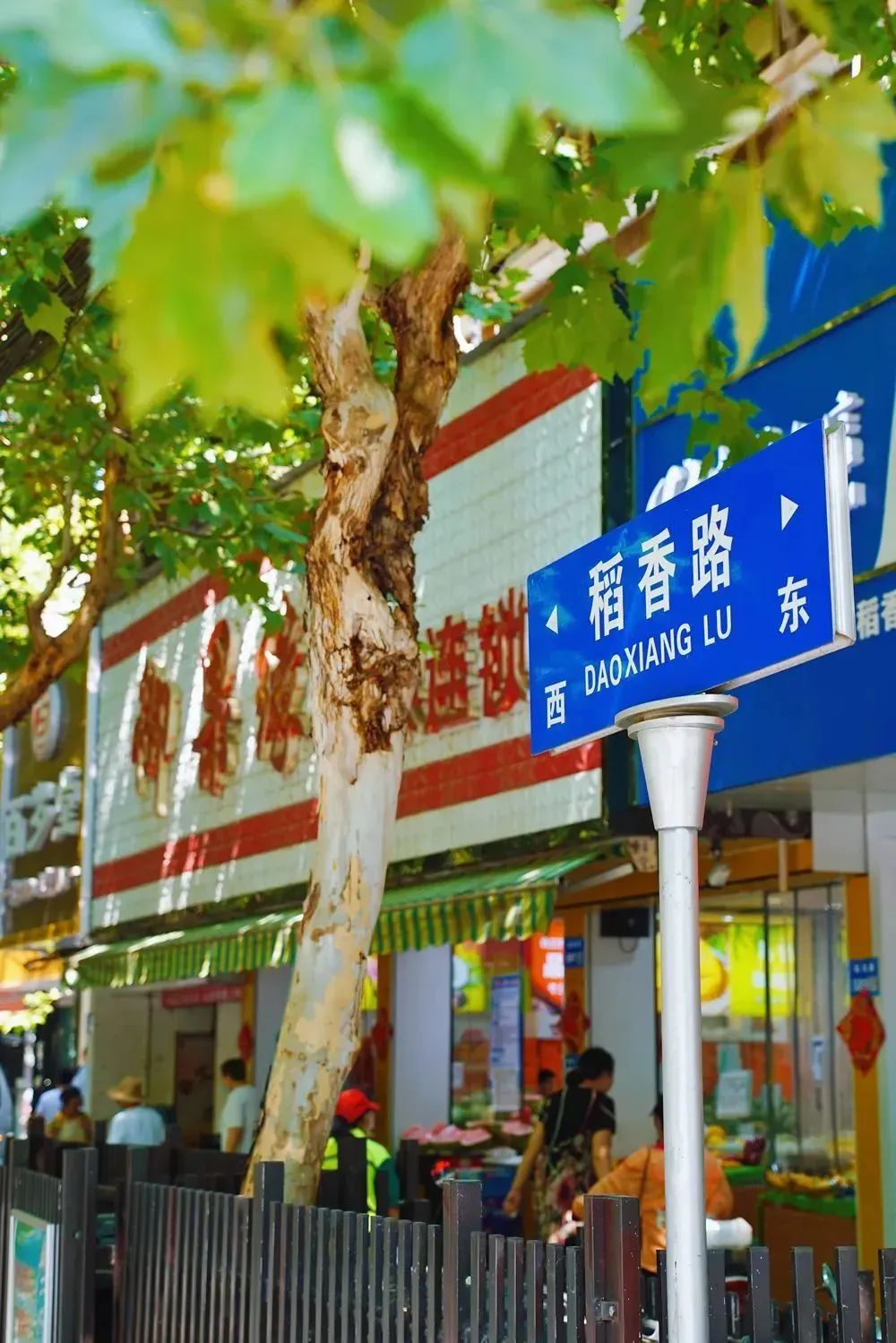 无锡611路,穿行于城市烟火间的流动画卷 无锡611路,穿行于城市烟火间的流动画卷
