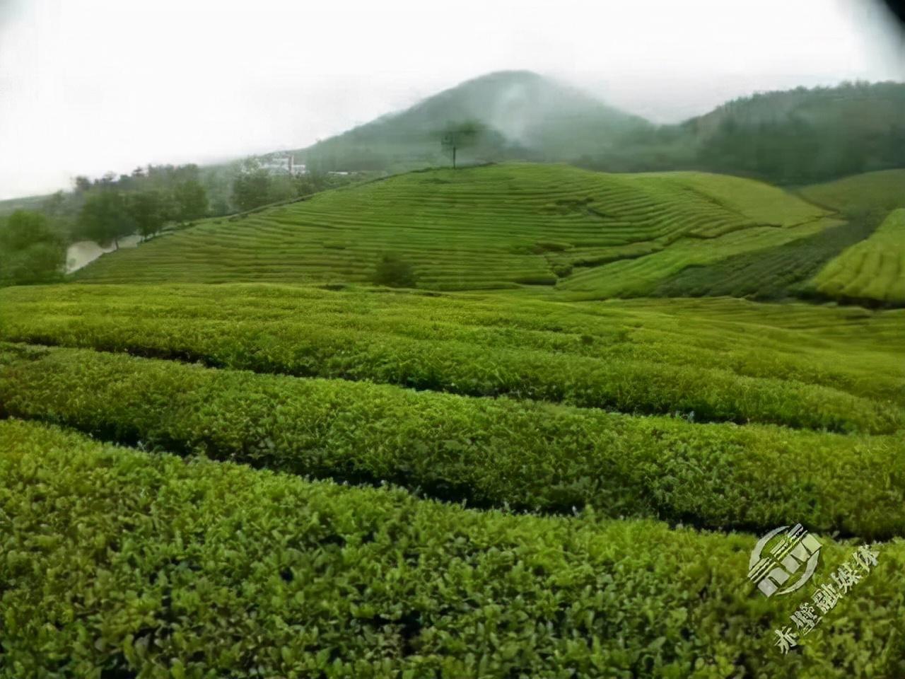 宜配网,解码中国专业汽车配件目录,赋能汽后市场精准服务 宜配网,解码中国专业汽车配件目录,赋能汽后市场精准服务