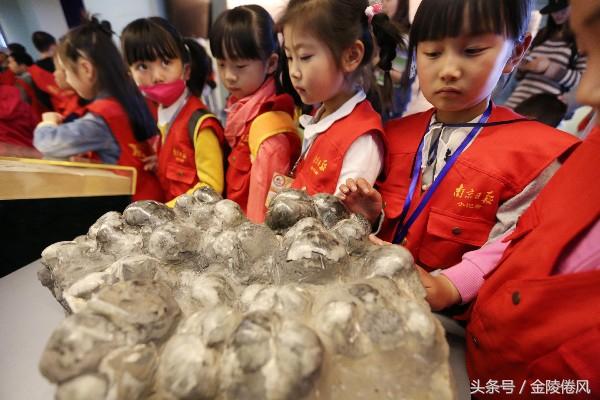 4月22号是啥日子?不止是地球日,还有这些意义值得了解 4月22号是啥日子?不止是地球日,还有这些意义值得了解