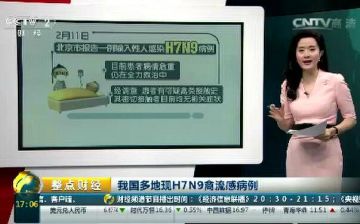 【全国禽流感最新消息数据/全国禽流感最新情况】 【全国禽流感最新消息数据/全国禽流感最新情况】