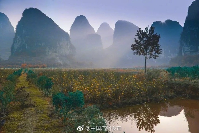 一位新冠密接者的广西之旅,在山水甲天下间与时空赛跑 一位新冠密接者的广西之旅,在山水甲天下间与时空赛跑