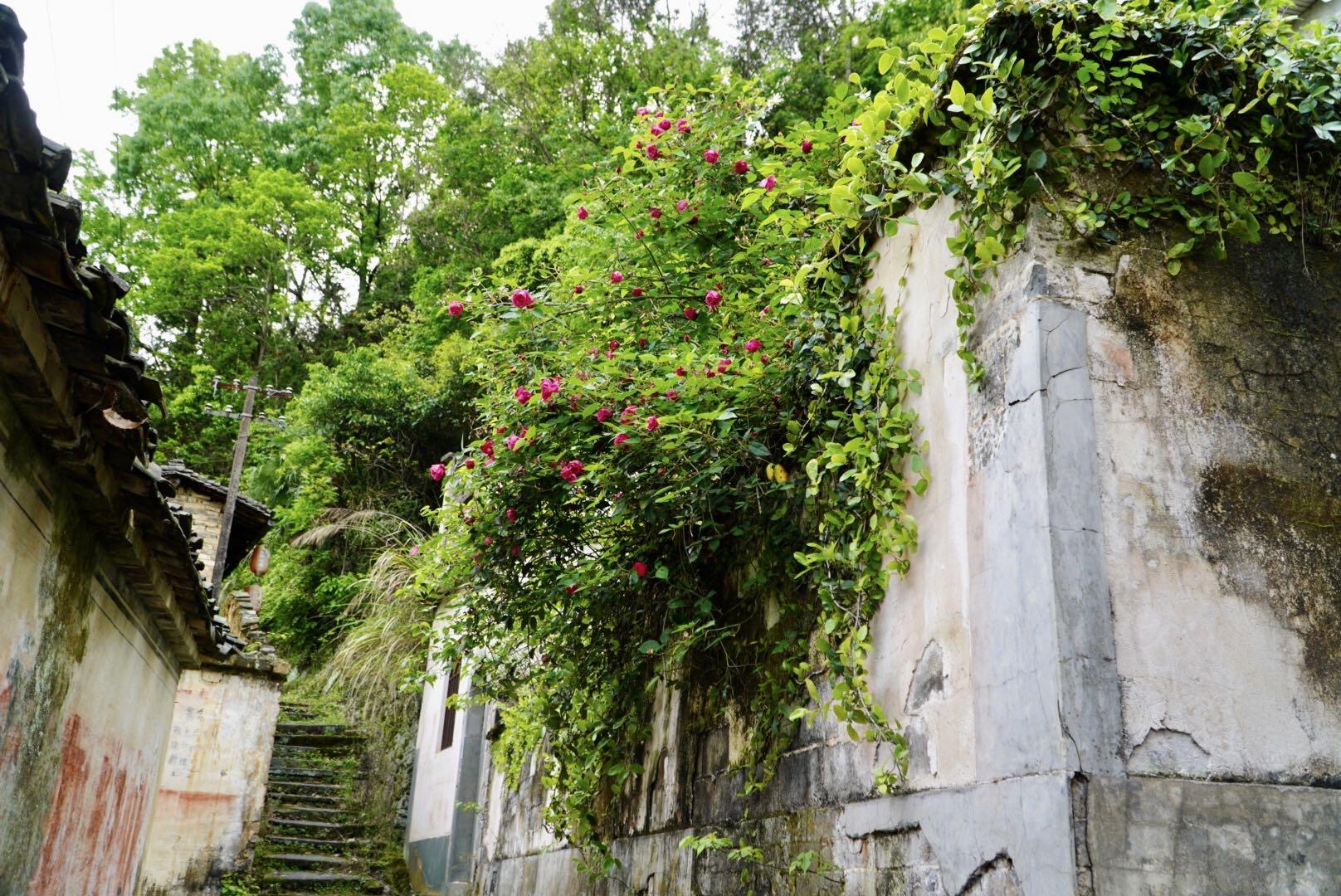 安徽确诊病例曾2次停留北京新闻/安徽确诊病例在北京行动轨迹 安徽确诊病例曾2次停留北京新闻/安徽确诊病例在北京行动轨迹