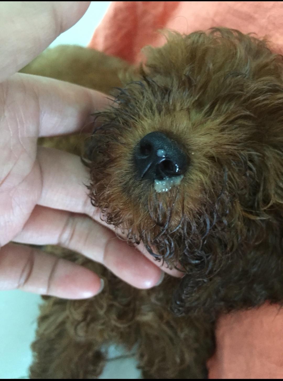 新型冠状病毒症状有什么症状(新型冠状病毒症状?) 新型冠状病毒症状有什么症状(新型冠状病毒症状?)