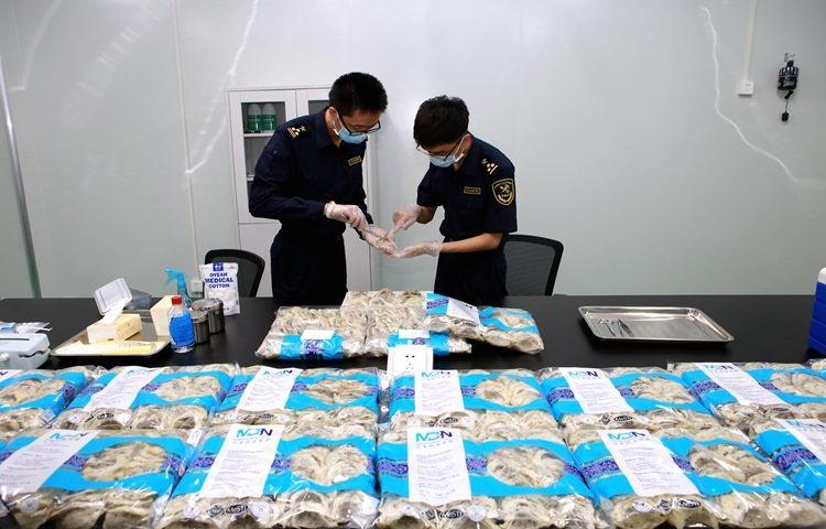 双城记,大连与北京疫情共同点背后的防控启示 双城记,大连与北京疫情共同点背后的防控启示