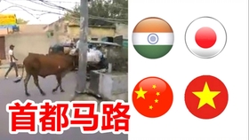 印度新冠抗体检测,疫情迷雾中的科学之光 印度新冠抗体检测,疫情迷雾中的科学之光