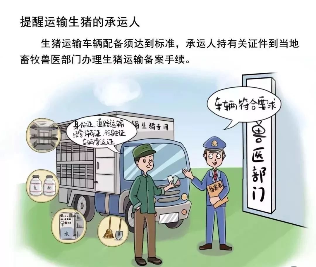 四川猪瘟疫情最新消息,当前形势可控,但防控仍不可松懈 四川猪瘟疫情最新消息,当前形势可控,但防控仍不可松懈