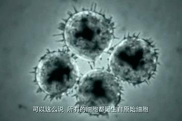 平行世界是什么意思的两个人 平行世界是什么意思的两个人