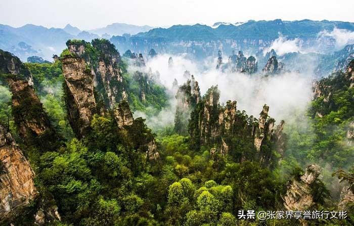 张家界现在能不能去?最新旅游政策与游玩全攻略 张家界现在能不能去?最新旅游政策与游玩全攻略