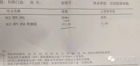 DNA检测结果需要多久?从样本到报告的完整时间解析 DNA检测结果需要多久?从样本到报告的完整时间解析