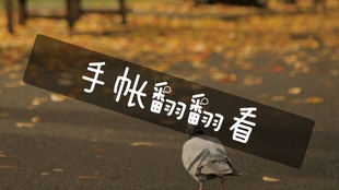 静默静默,是一个递进的过程,一种循环的修行。第一个静默是创造空间,第二个静默是填充意义。我们通过外在的止语,来促成内在的觉悟;又因内在的丰盈,而更能安于外在的简静。它们互为表里,相互滋养 静默静默,是一个递进的过程,一种循环的修行。第一个静默是创造空间,第二个静默是填充意义。我们通过外在的止语,来促成内在的觉悟;又因内在的丰盈,而更能安于外在的简静。它们互为表里,相互滋养