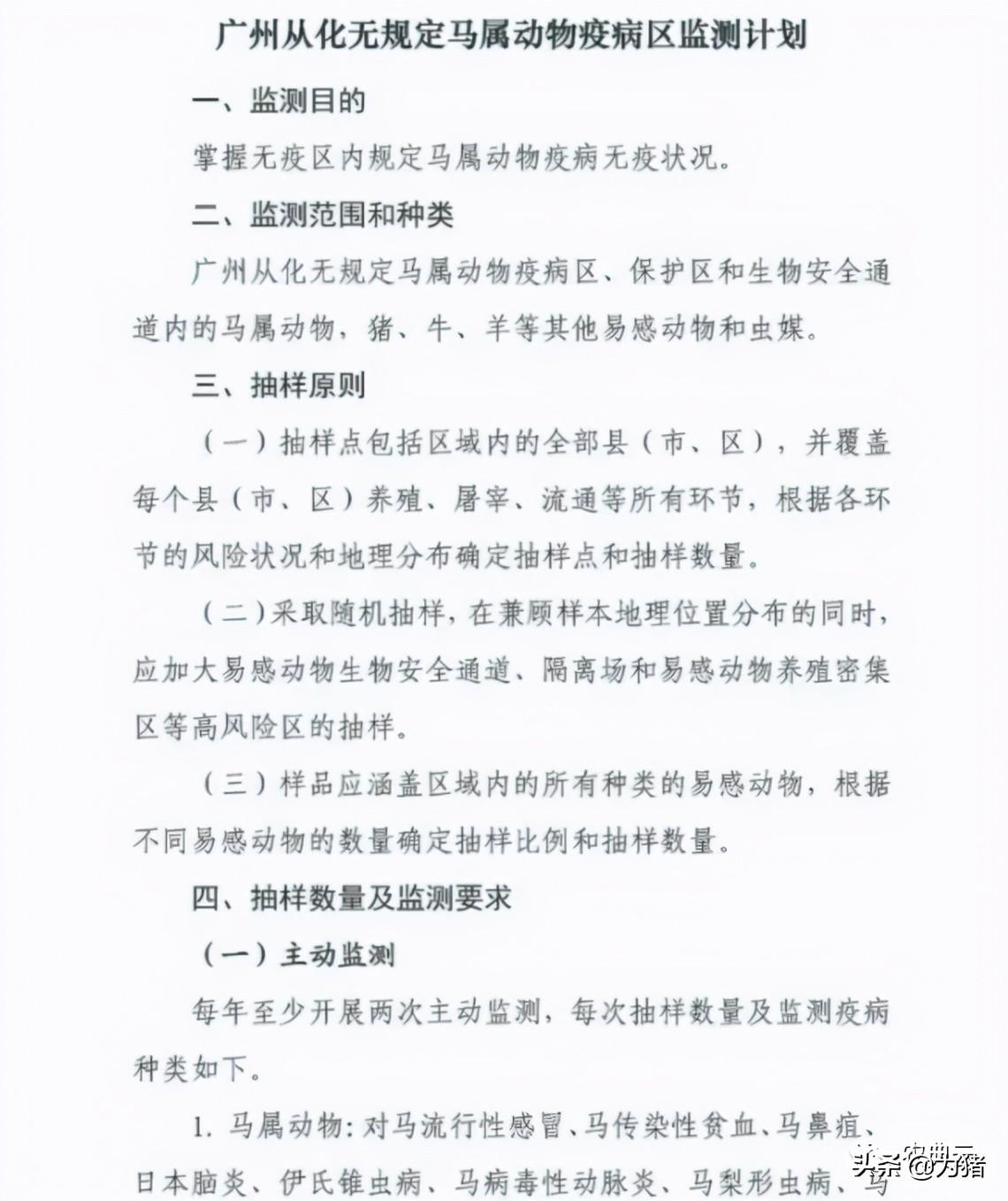 2025年猪瘟疫情最新消息，防控进入新阶段，挑战与希望并存