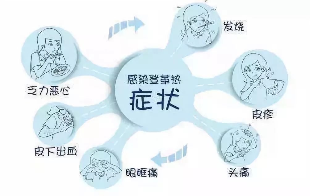 登革热发烧会持续多久(登革热发热期降温最好的措施是) 登革热发烧会持续多久(登革热发热期降温最好的措施是)