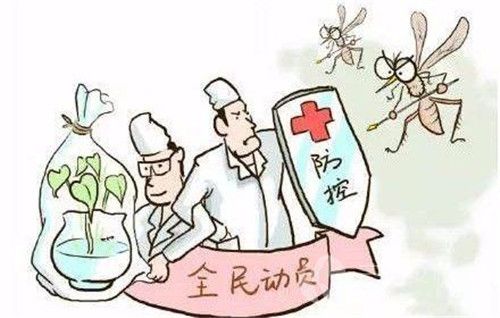 登革热发烧会持续多久(登革热发热期降温最好的措施是) 登革热发烧会持续多久(登革热发热期降温最好的措施是)
