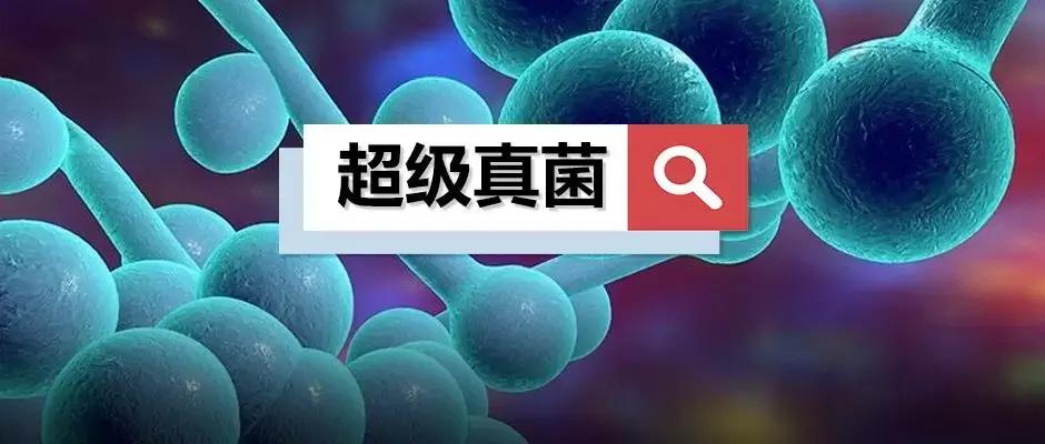 江苏新增1例无症状感染者在哪个市(江苏新增无症状感染者是什么地方的) 江苏新增1例无症状感染者在哪个市(江苏新增无症状感染者是什么地方的)
