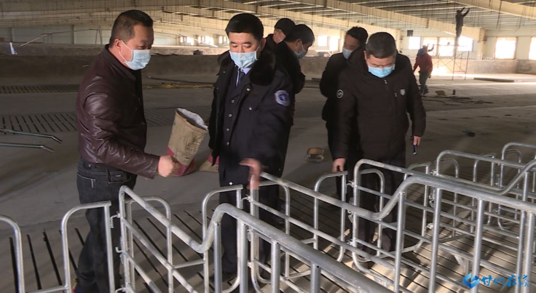 广东猪疫情最新动态,防控升级,市场供应总体稳定 广东猪疫情最新动态,防控升级,市场供应总体稳定
