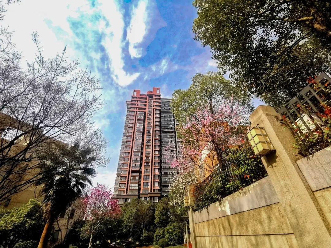 南京今日新增确诊病例,防控不松懈,同心筑防线 南京今日新增确诊病例,防控不松懈,同心筑防线