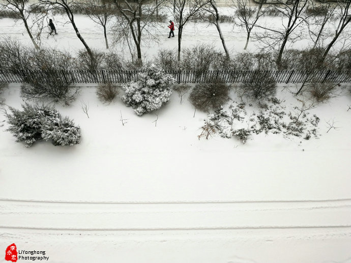 【沈阳发布中雪预警/沈阳大雪预警】 【沈阳发布中雪预警/沈阳大雪预警】