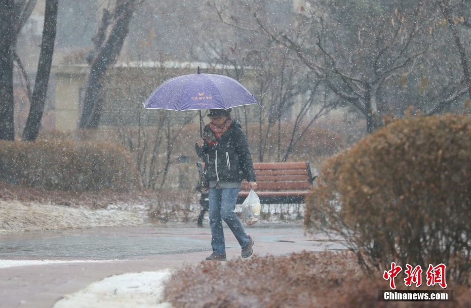 【沈阳发布中雪预警/沈阳大雪预警】 【沈阳发布中雪预警/沈阳大雪预警】