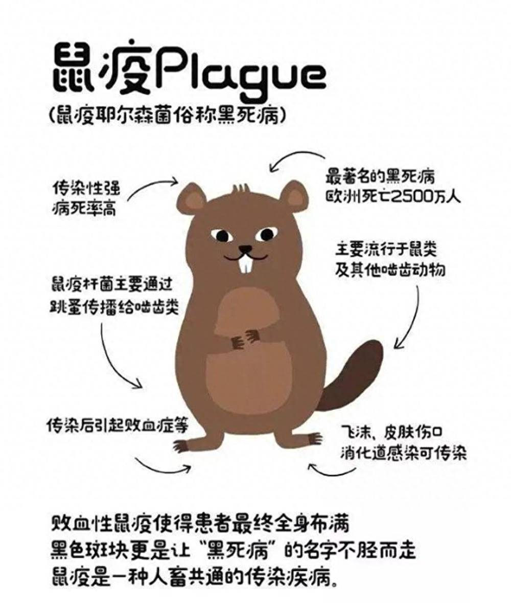 【鼠疫事件,鼠疫事件不是公共卫生安全的插曲】 【鼠疫事件,鼠疫事件不是公共卫生安全的插曲】