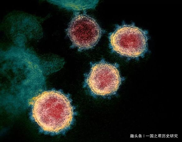 非典死亡人数和新冠病毒死亡人数/非典和新型冠状病毒死亡率 非典死亡人数和新冠病毒死亡人数/非典和新型冠状病毒死亡率