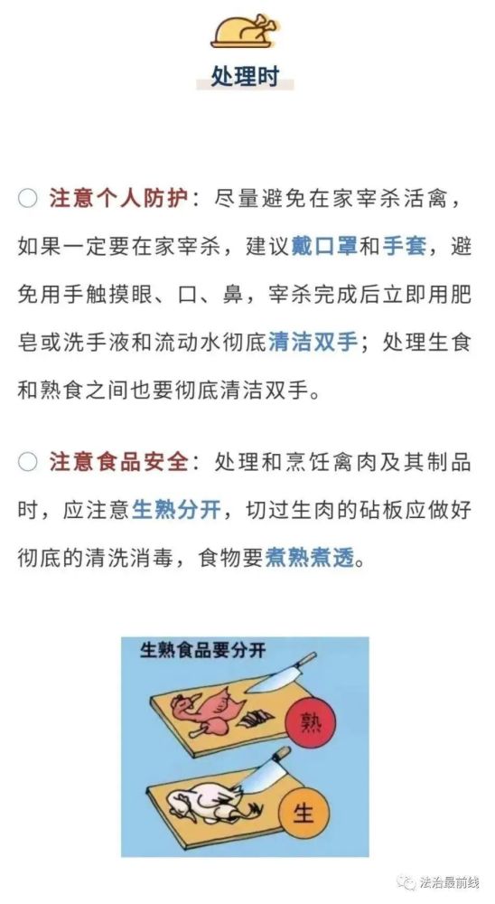 全球首例人感染禽流感,一场悄然而至的公共卫生警报 全球首例人感染禽流感,一场悄然而至的公共卫生警报