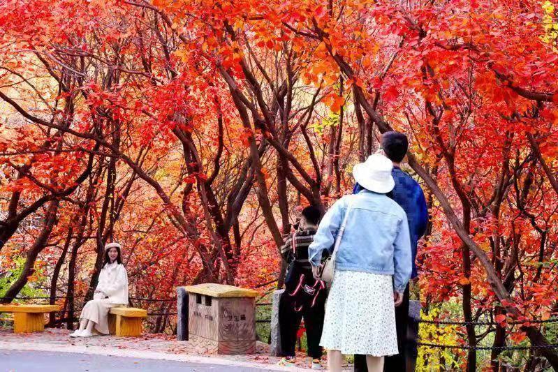 大连泉水解封(大连泉水疫情2021最新消息) 大连泉水解封(大连泉水疫情2021最新消息)