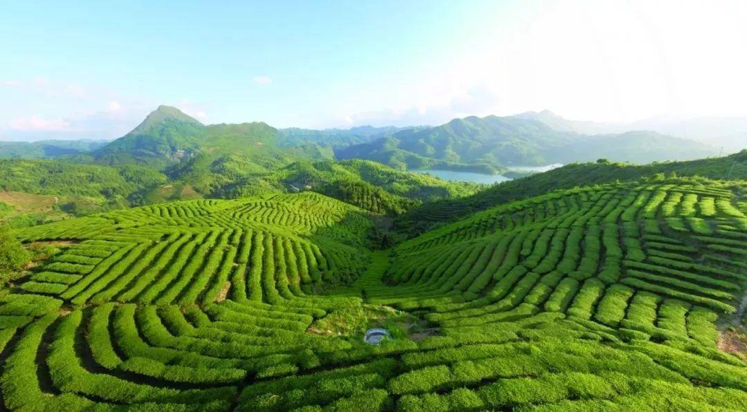 丰顺发布(丰顺新闻网) 丰顺发布(丰顺新闻网)