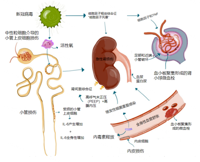 最新新冠病毒症状(最新新冠病毒感染症状) 最新新冠病毒症状(最新新冠病毒感染症状)
