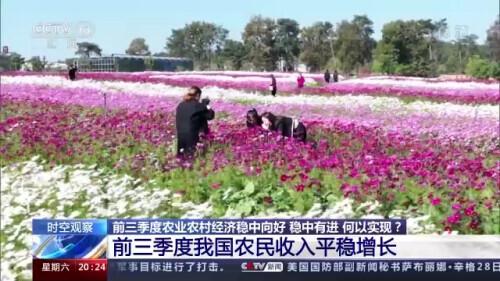 今日新闻联播,国内经济稳中向好 国际社会关注中国发展 今日新闻联播,国内经济稳中向好 国际社会关注中国发展