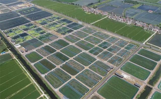常州疫情最新通告,今日新增本土确诊病例X例,流调溯源与精准防控同步进行 常州疫情最新通告,今日新增本土确诊病例X例,流调溯源与精准防控同步进行