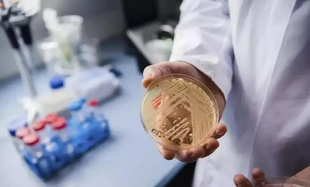 江苏疫情最新通报,8月4日新增本土确诊病例2例,防控措施持续优化 江苏疫情最新通报,8月4日新增本土确诊病例2例,防控措施持续优化