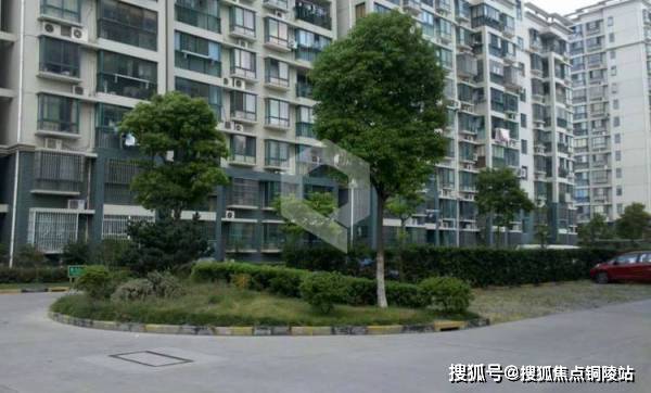 洛阳限行规定最新2021年（洛阳限行规定最新2021年11月）