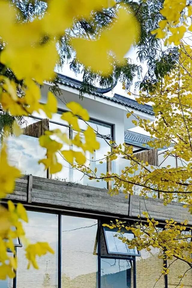 南山别墅慢时光,在云深不知处,寻一场山城旧梦 南山别墅慢时光,在云深不知处,寻一场山城旧梦
