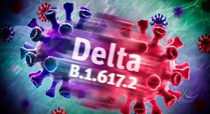 南京禄口机场突发30例新冠阳性,Delta变异株再敲防控警钟 南京禄口机场突发30例新冠阳性,Delta变异株再敲防控警钟