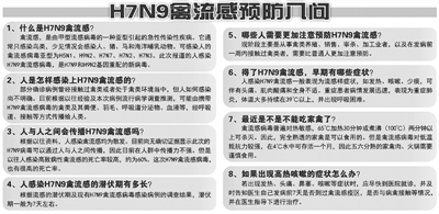 H7N9禽流感阴影下的股市波澜,危机中的风险与机遇 H7N9禽流感阴影下的股市波澜,危机中的风险与机遇