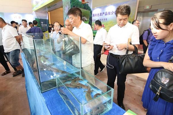 【重点地区来沪人员/什么叫重点地区来沪人员】 【重点地区来沪人员/什么叫重点地区来沪人员】