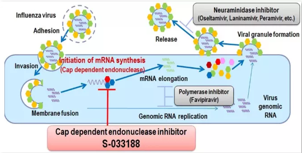 流感最新数据,感染高峰持续,科学防护是关键 流感最新数据,感染高峰持续,科学防护是关键