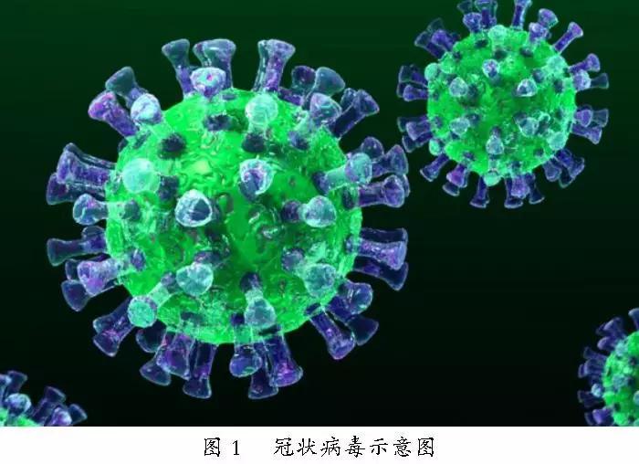 广东近期主要流行病毒解析,新型冠状病毒与季节性流感需警惕 广东近期主要流行病毒解析,新型冠状病毒与季节性流感需警惕
