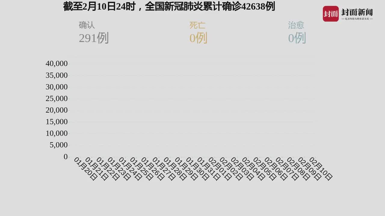 新冠病毒肺炎确诊病例,数据背后的故事与警示 新冠病毒肺炎确诊病例,数据背后的故事与警示
