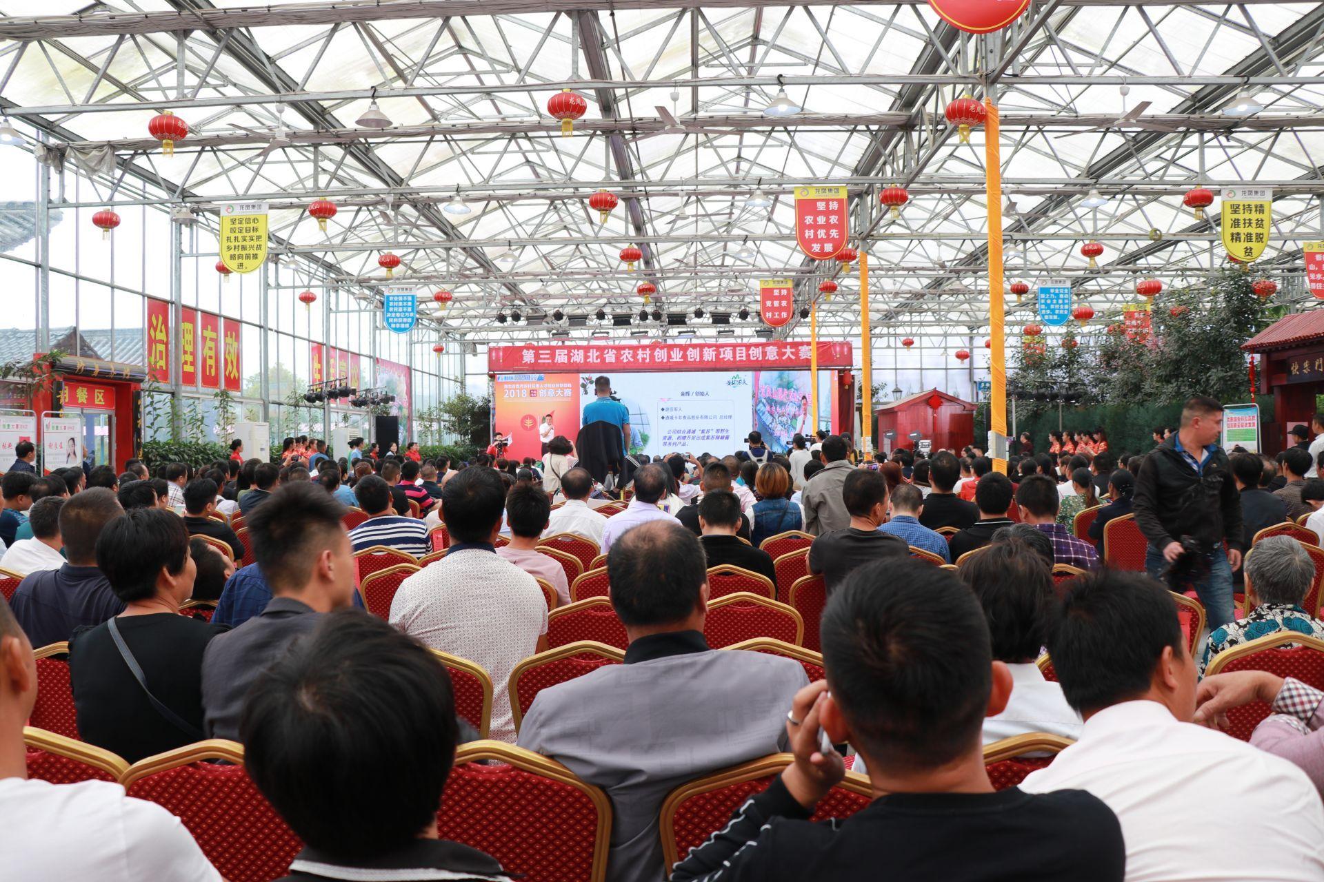 创业板块股票是什么意思/创业板块是啥 创业板块股票是什么意思/创业板块是啥