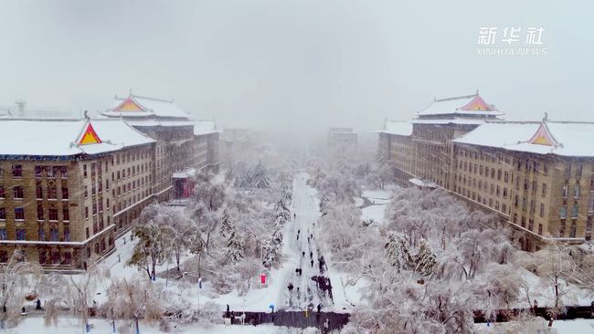 哈尔滨疫情解封时间,寒冬渐远,春归冰城 哈尔滨疫情解封时间,寒冬渐远,春归冰城