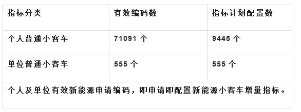 小客车摇号查询结果查询（小客车摇号结果查询2021）