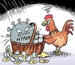 h7n9型禽流感死了多少人/h7n9型禽流感死了多少人啊 h7n9型禽流感死了多少人/h7n9型禽流感死了多少人啊