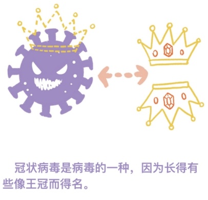 冠状病毒到底是什么引起的? 冠状病毒到底是什么引起的?