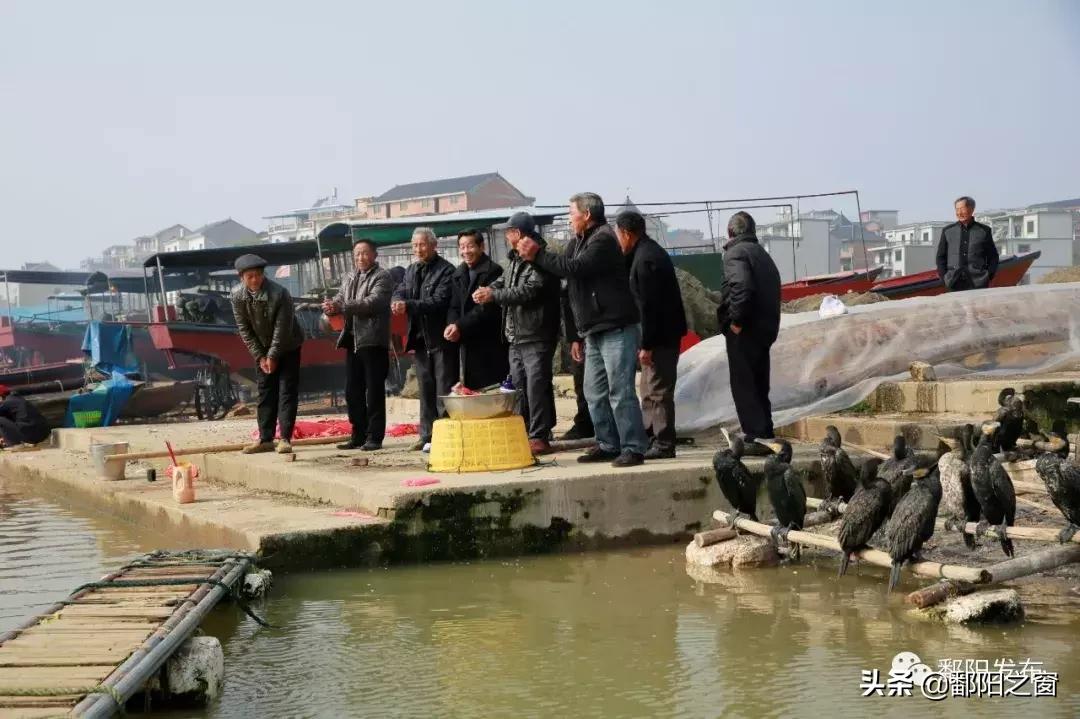 捕鱼假日贴吧,虚拟渔场里的温情与记忆 捕鱼假日贴吧,虚拟渔场里的温情与记忆