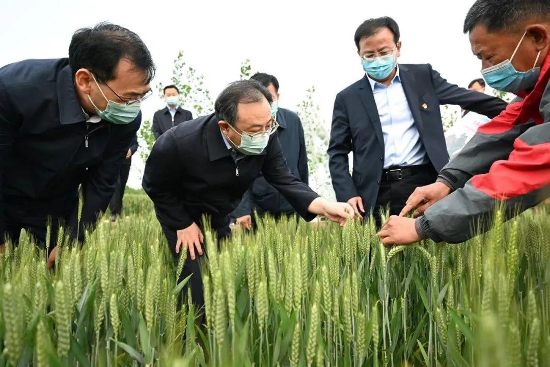 连云港市疫情防控领导小组,筑牢港城健康防线的坚强核心 连云港市疫情防控领导小组,筑牢港城健康防线的坚强核心