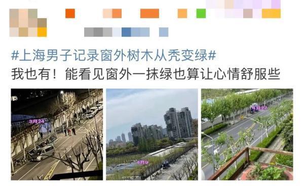疫情下的深圳坚守,封城时间里的速度与温度 疫情下的深圳坚守,封城时间里的速度与温度