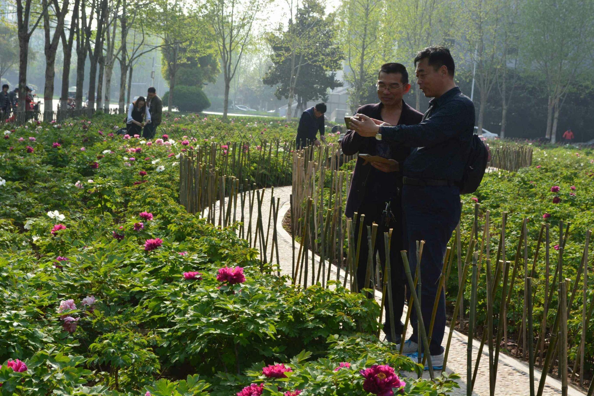 许昌学院2021什么时候解封/许昌学院2021年秋季疫情开学时间 许昌学院2021什么时候解封/许昌学院2021年秋季疫情开学时间