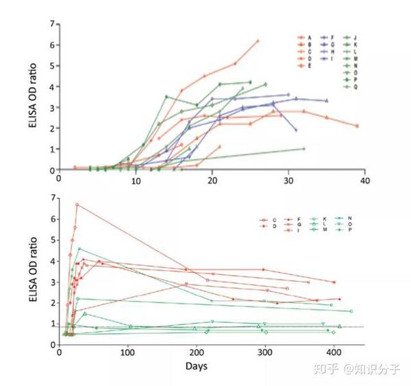 新冠抗体能保护我们多久?详解抗体存活时间与免疫记忆 新冠抗体能保护我们多久?详解抗体存活时间与免疫记忆
